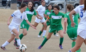 Women's soccer 2 crop