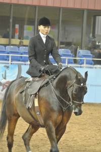 Kierstin competing at the Scottsdale Arabian Horse Show.