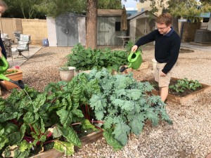 Patrick Pagnozzi waters the Environmental Club garden.